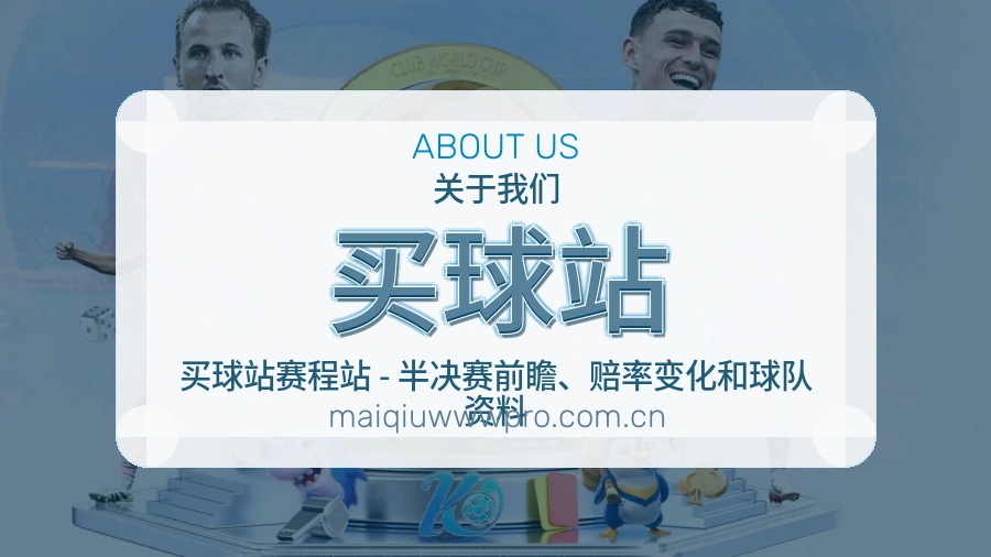 买球站平台服务价值介绍